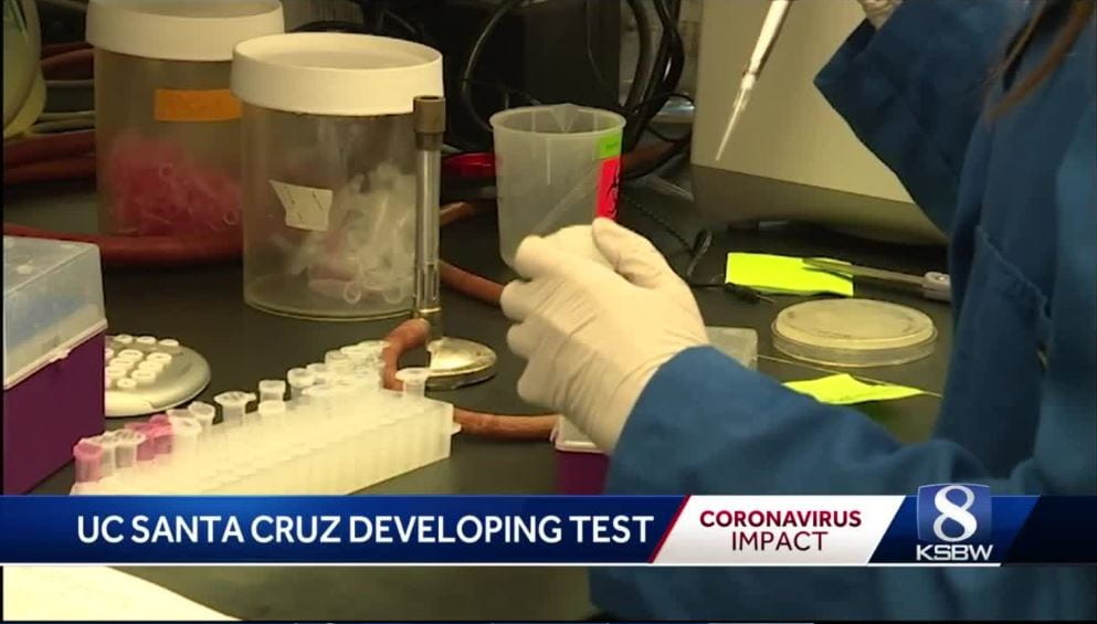 UC Santa Cruz scientists to provide rapid COVID-19 testing by end of month